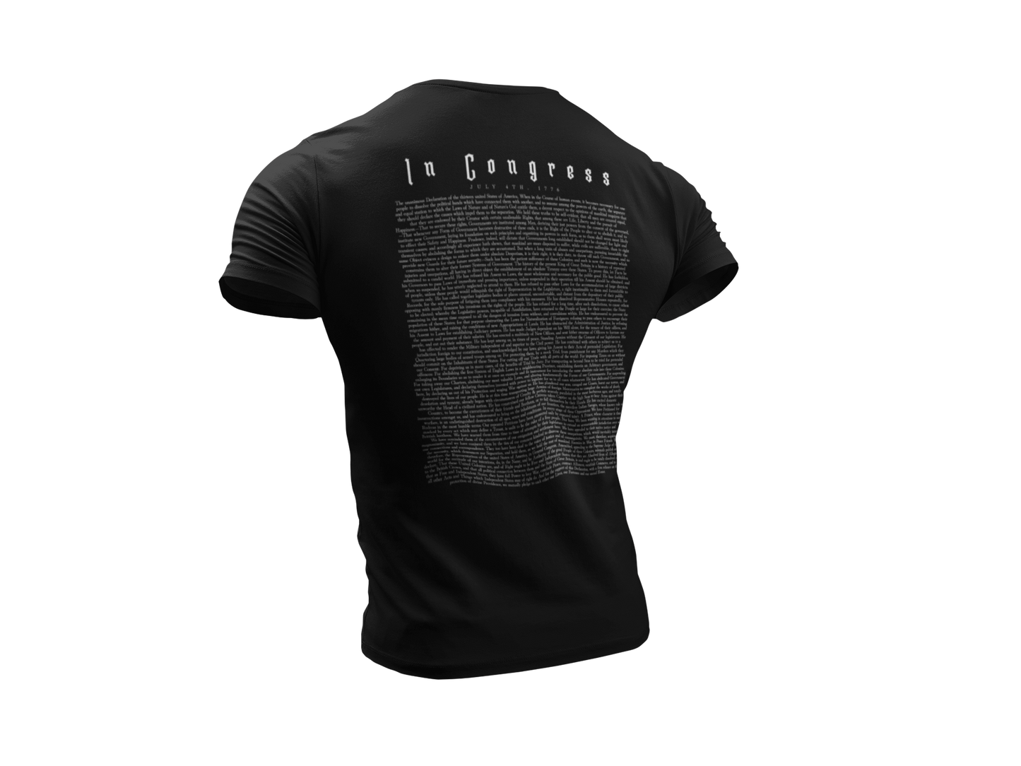 Declaration of Independence Tee