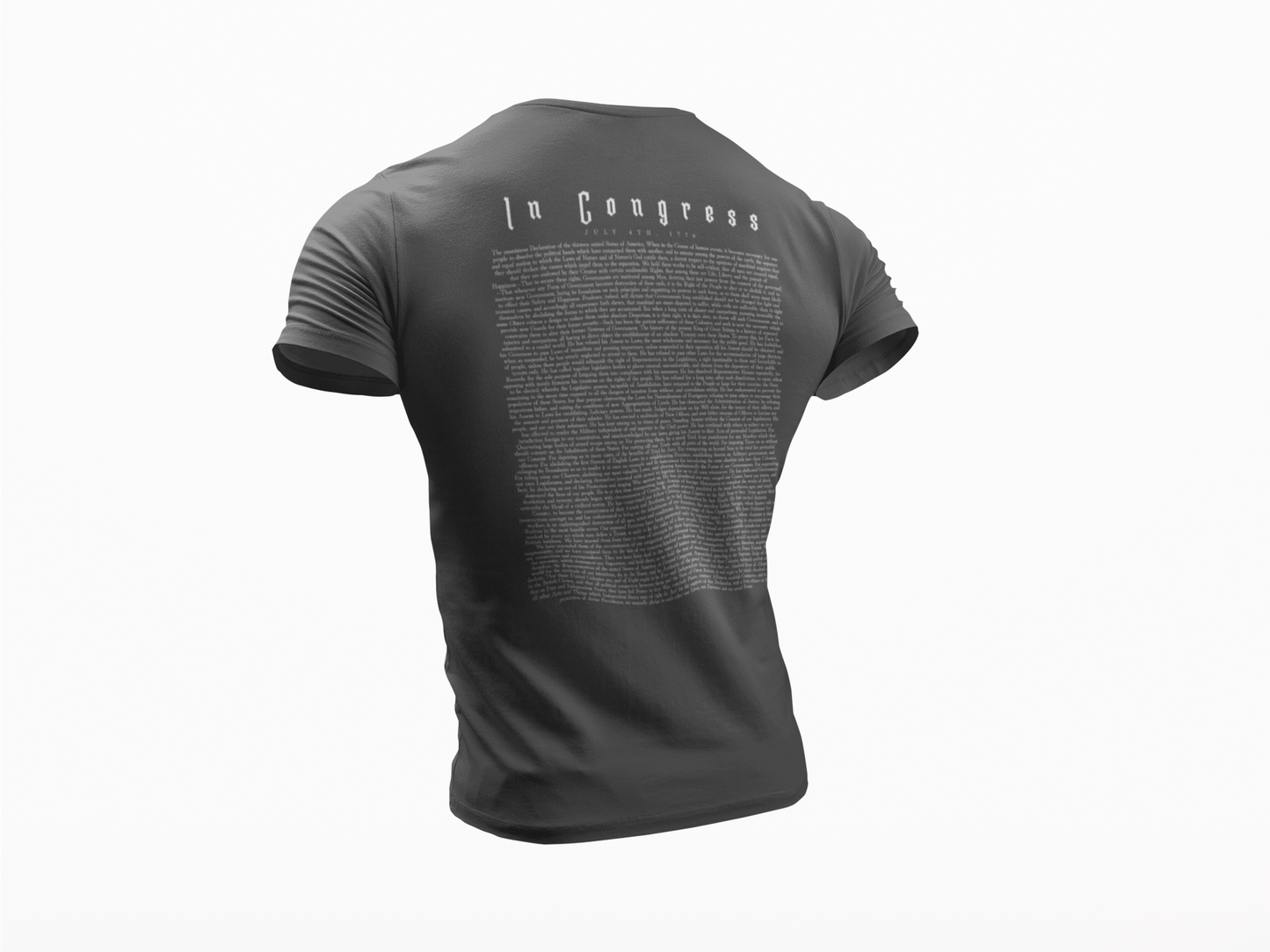 Declaration of Independence Tee